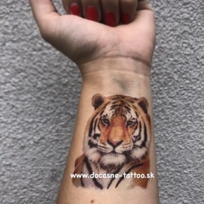Tiger – zviera – šelma – farebné dočasné tetovanie