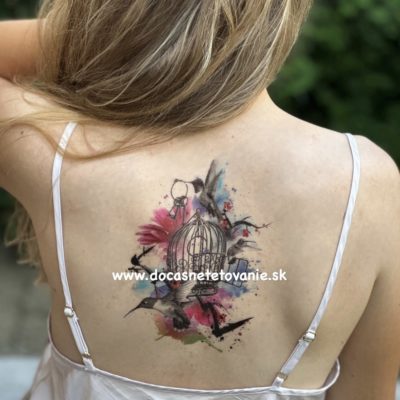 Vtáky - klietka - kľúče - farebné dočasné tetovanie (2)